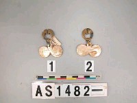 藏品(貝片耳飾)的圖片